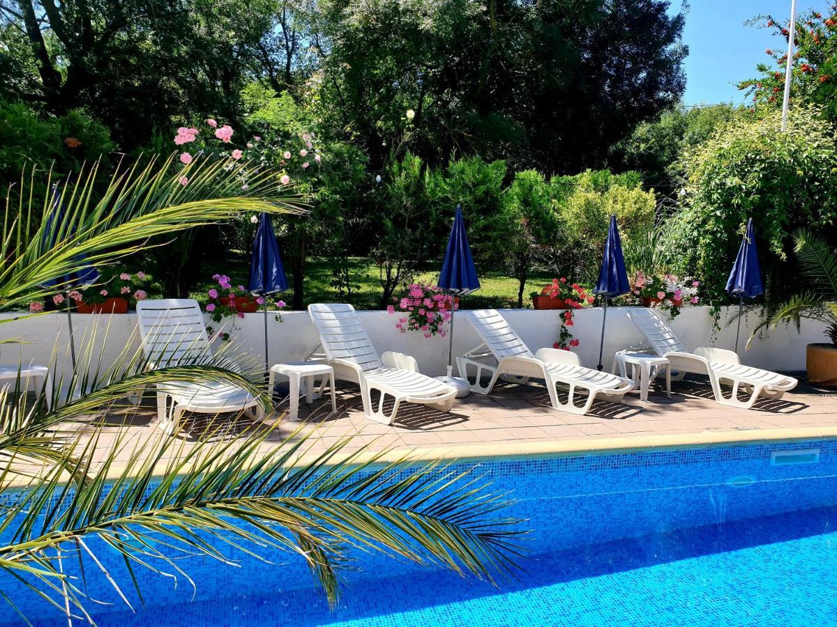 Hotel Feniks Лозенец Экстерьер фото