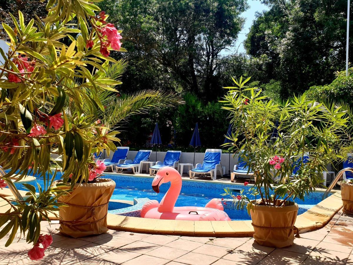 Hotel Feniks Лозенец Экстерьер фото